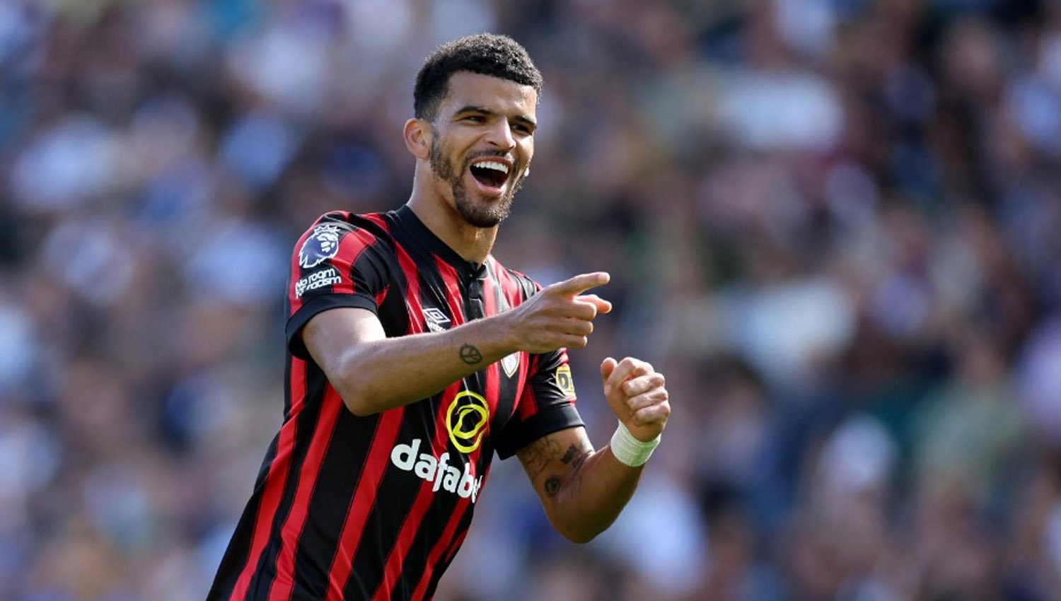 Ada Peningkatan, Chelsea Ingin Pulangkan Solanke dari Bournemouth