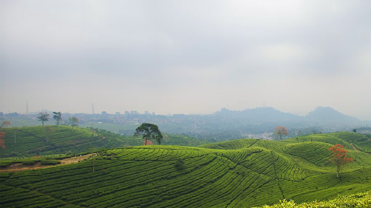 15 Hotel di Lembang Bandung yang Murah dan Bagus Terbaik 2025