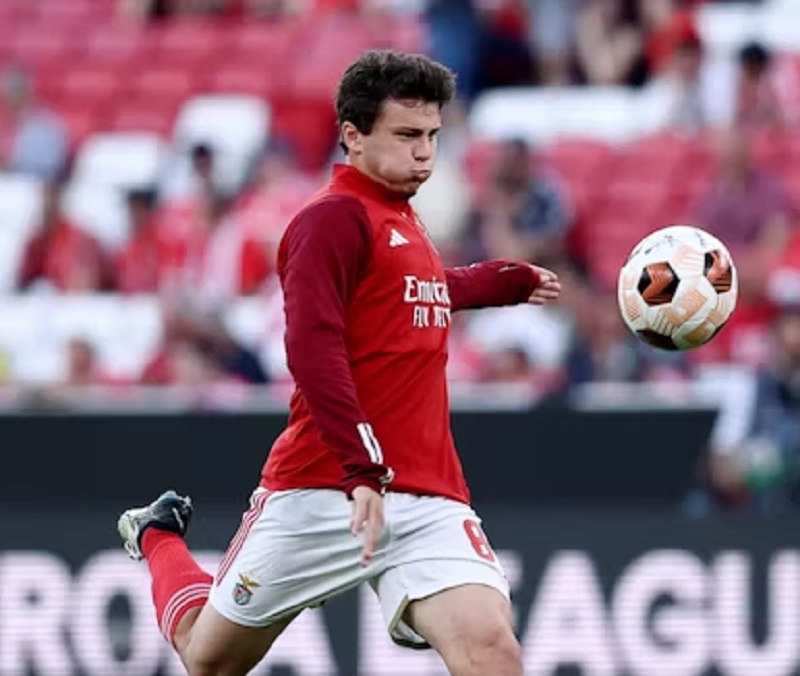 Pemain Bintang Muda Portugal, Joao Neves