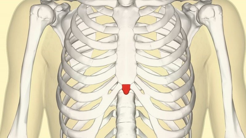Xiphoid Process
