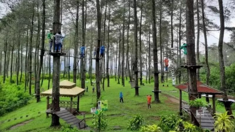 Hutan Pinus Gunung Pancar