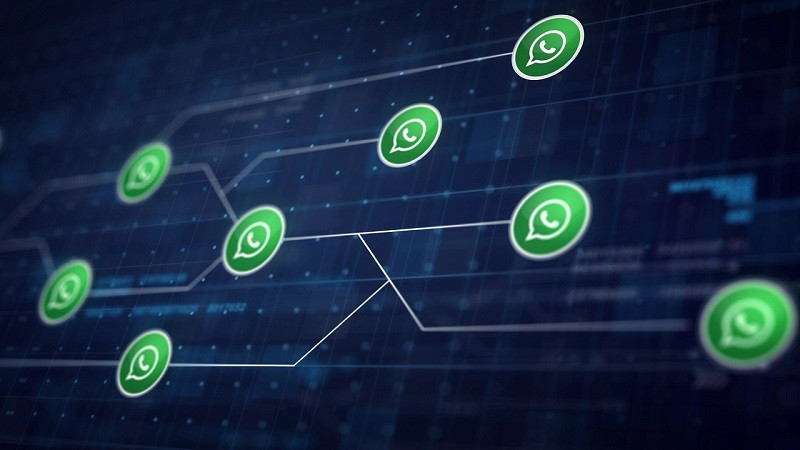 Jaringan WhatsApp