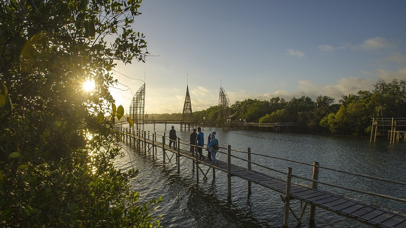 Hutan Mangrove Kulon Progo