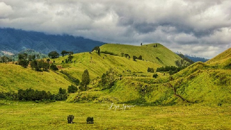 Bukit Jabal Kirmit ala Selandia Baru