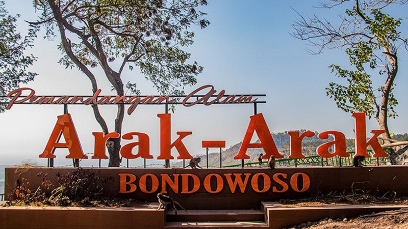Pemandangan Arak-arak