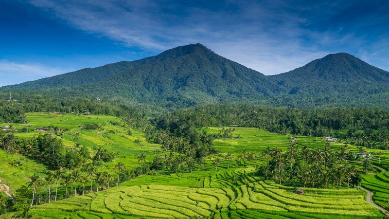 Desa Wisata Sawah Luwih