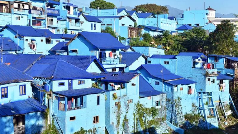 Kampung Biru Arema