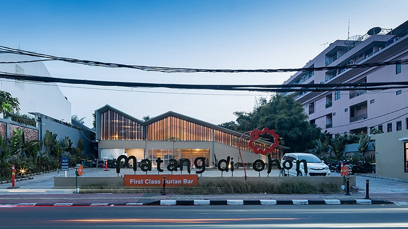 Matang di Pohon
