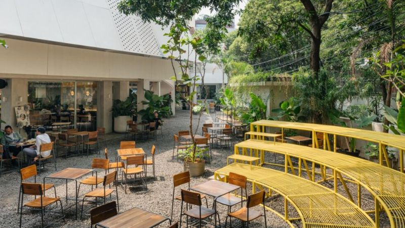 Lucy Curated Compound