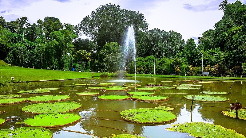 kebun raya bogor