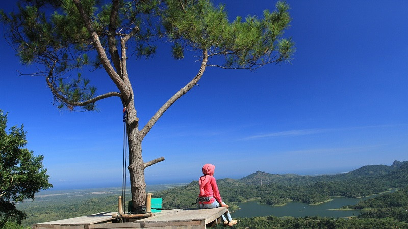 Desa Wisata Kalibiru
