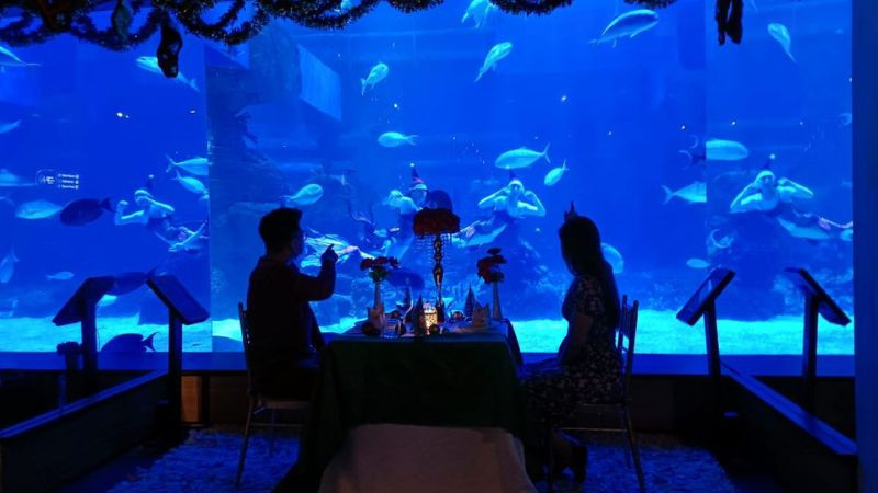 Jakarta Aquarium Safari