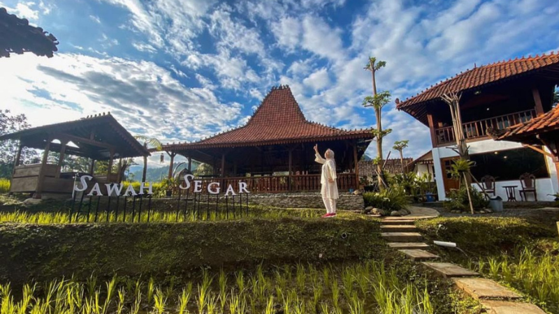 Sawah Segar Sentul