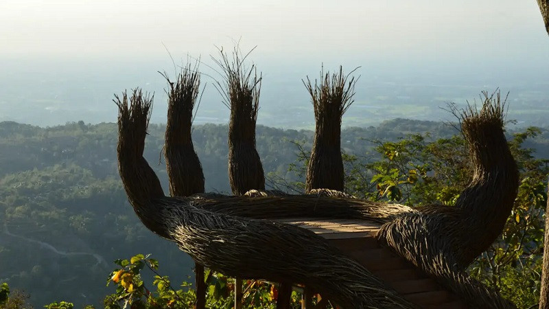 Hutan Pinus Pengger