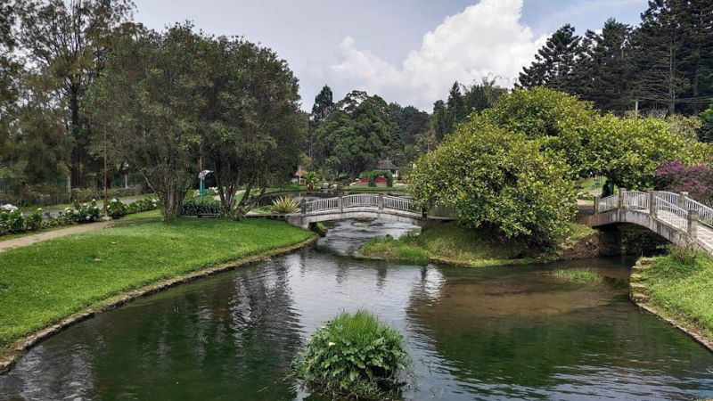 Taman Sakura Kebun Raya Cibodas