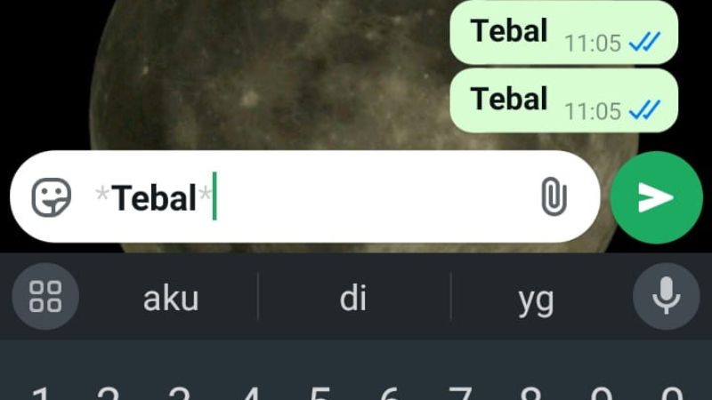 Trik Bikin Tulisan Tebal di WhatsApp