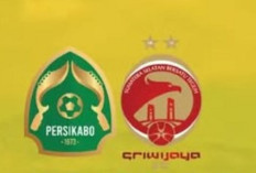 Streaming Persikabo 1973 vs Sriwijaya FC di Liga 2 2024-2025
