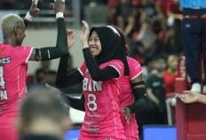 Daftar Harga Tiket Final Proliga 2024 dan Cara Pembeliannya, Siap-siap War!