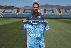 Cesc Fabregas Pastikan Como akan Bersaing di Liga Italia, Yakin?