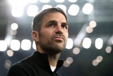 Prediksi Como vs Parma di Liga Italia 2024/25 - Ajang Pembuktian Cesc Fabregas