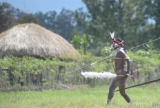 13 Senjata Tradisional Papua Selatan Beserta Gambar dan Penjelasannya Lengkap