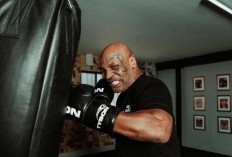 Tyson Fury Yakin Mike Tyson Akan Jotos KO Jake Paul di Usia 58 Tahun
