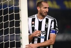 Giorgio Chiellini Resmi Balik ke Juventus, Dapat Jabatan Penting