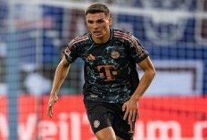 Joao Palhinha dan Pengalaman Pertamanya di Bayern Munchen