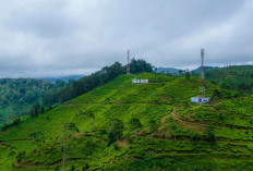 15 Hotel Murah dan Bebas di Bogor Terbaik 2024, View Bagus & instagramable