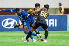 Hasil Sriwijaya FC vs PSPS di Liga 2: Gol Meghon Valpoort Amankan Kemenangan Laskar Wong Kito