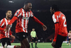 Prediksi Southampton vs Swansea City di Piala FA 2024/25: Peluang Juric Kembalikan Kepercayaan Tim