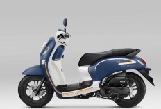 10 Filter Udara Scoopy Terbaik 2025, Berkualitas & Tahan Lama!