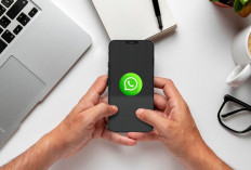 3 Cara Melihat Status WA yang di Privasi Terbaru 2025