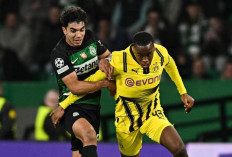 Susunan Pemain Dortmund vs Sporting CP di Liga Champions 2024/25