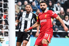 Prediksi Liverpool vs Newcastle di Liga Inggris 2024/25 - Virgil van Dijk Buat Anfield Mengerikan