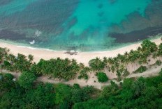 15 Lagu Daerah Papua Tengah Beserta Lirik dan Maknanya