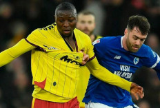 Head to head Cardiff vs Watford di Liga Championship 2024/25