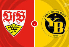  Head to Head Vfb vs Young Boys di Liga Champions 2024-25: Kedua Tim Saling Mengalahkan