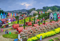 15 Tempat Wisata Malang Murah untuk Keluarga yang Hits & Instagramable 2025