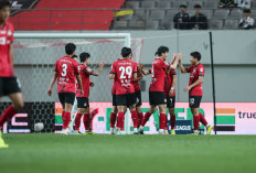 Tempat Menonton Darul Takzim FC vs Pohang di Liga Champions Asia 2024/25