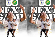 Prediksi Persipura Jayapura vs Persipal di Liga 2 2024/25 - Bidik 3 Poin Keberuntungan