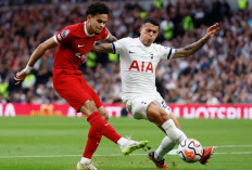 Prediksi Tottenham vs Liverpool di Liga Inggris 2024/25 - Adu Taktik Ange Postecoglou dan Arne Slot
