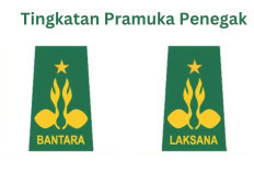 2 Tingkatan Pramuka Penegak Lengkap dengan Penjelasannya