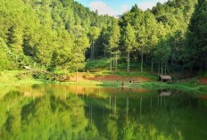 15 Tempat Wisata di Kuningan yang Lagi Hits & Instagramable 2025