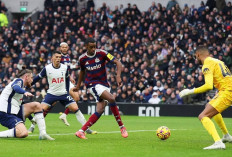 Hasil Tottenham vs Newcastle di Liga Inggris - The Magpies Jaga Skor Akhir Tetap 1-2