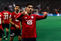 Head to Head Marseille vs LOSC Lille di Liga Prancis 2024/25: 2 Tim Kuat Siap Rebut 3 Poin