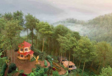 15 Tempat Wisata di Malang yang Murah Terbaru & Instagramable 2025