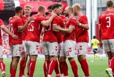 Link Live Streaming Slovenia vs Denmark di Laga Grup C Euro 2024 Malam Ini
