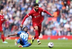 Head to Head Brighton vs Liverpool di Carabao Cup: The Reds Dihantui Catatan Buruk Main di AMEX Stadium