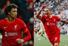 Darwin Nunez Singgung Kepindahan Trent Alexander-Arnold ke Real Madrid